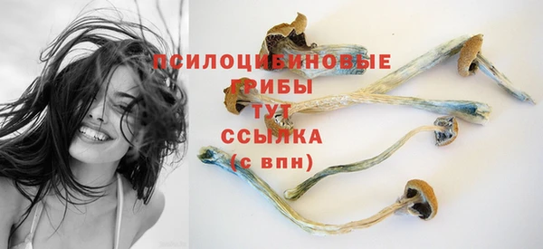 ПСИЛОЦИБИНОВЫЕ ГРИБЫ Верхний Тагил