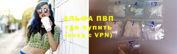ПСИЛОЦИБИНОВЫЕ ГРИБЫ Верхний Тагил