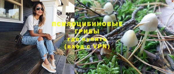 a pvp Верея