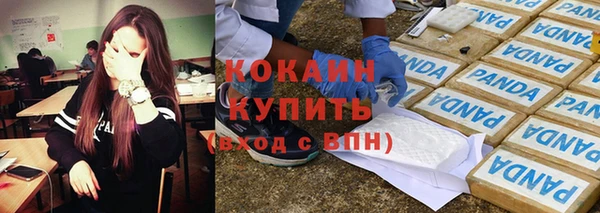 ПСИЛОЦИБИНОВЫЕ ГРИБЫ Верхний Тагил