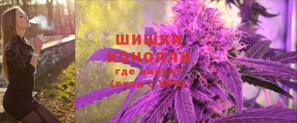 ПСИЛОЦИБИНОВЫЕ ГРИБЫ Верхний Тагил