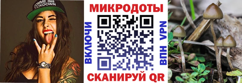 Купить  Медногорск  Псилоцибиновые грибы прущие грибы 